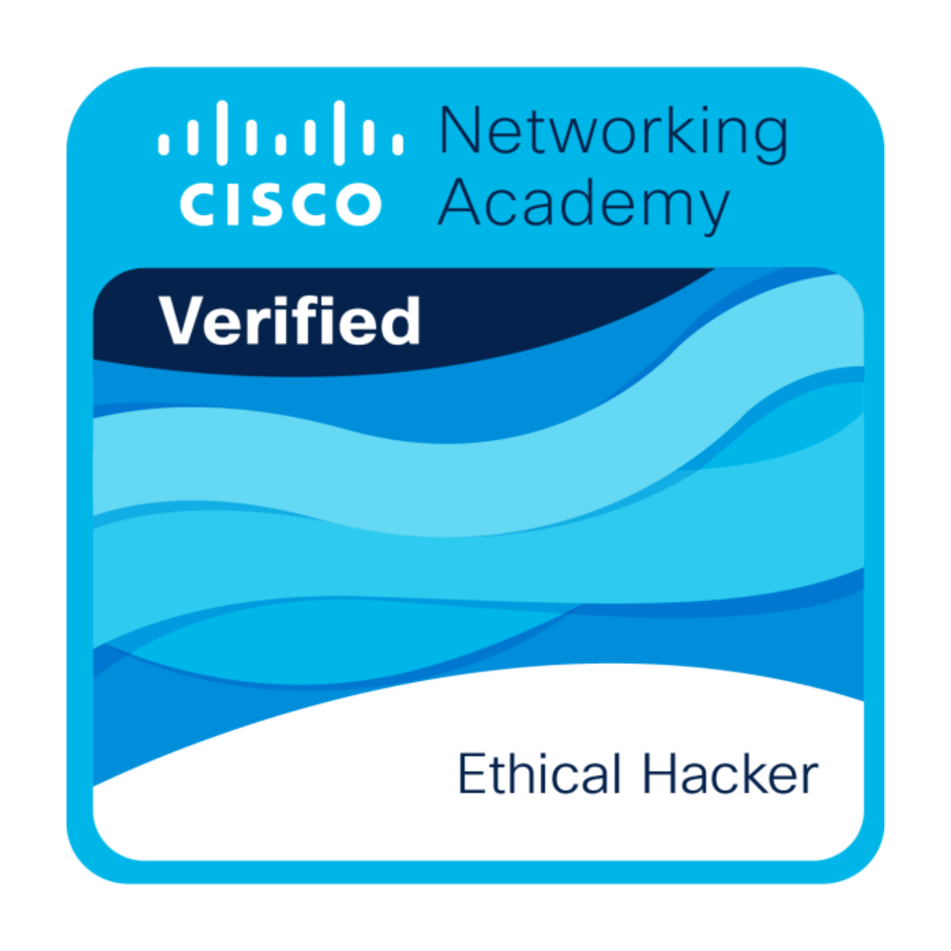 Badge 6